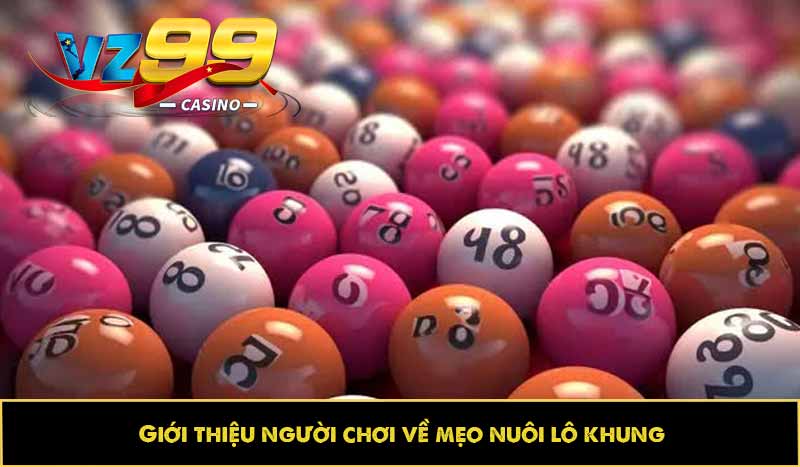 Mẹo nuôi lô khung: Kinh nghiệm bắt kèo, soi đâu trúng đó 2 Giới thiệu người chơi về mẹo nuôi lô khung